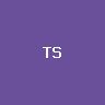 Tesla (bStocks Tokenized Stock